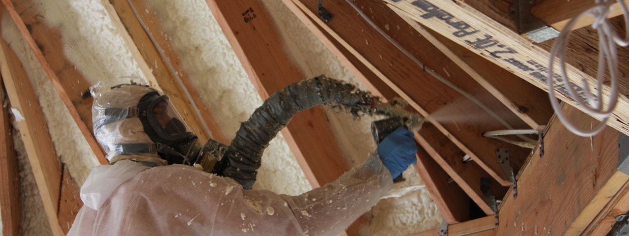 Greensboro North Carolina Attic Insulation Spray Foam